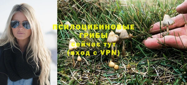 бутират Горно-Алтайск
