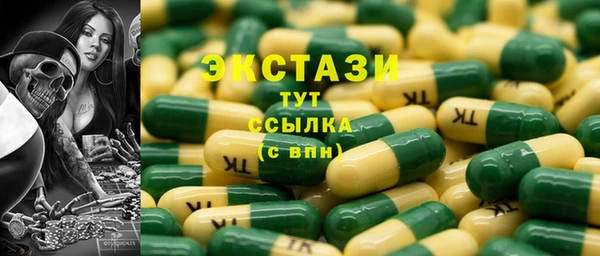 ECSTASY Гусь-Хрустальный